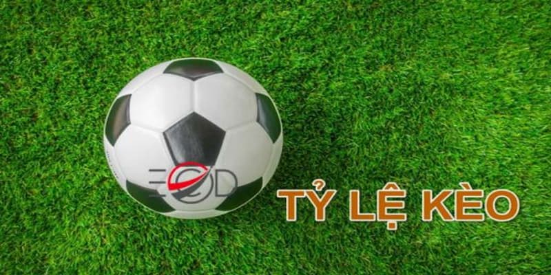 Tổng quan về chuyên mục tỷ lệ kèo của 7M Tổng quan về chuyên mục tỷ lệ kèo của 7M