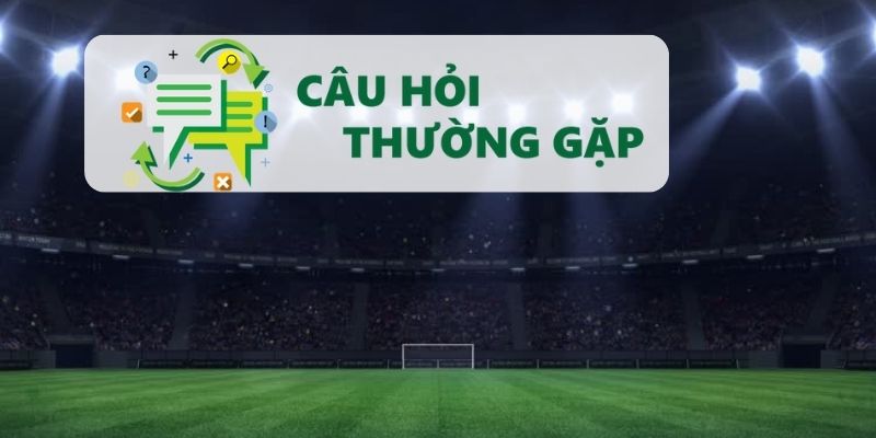Giải đáp các dịch vụ 7mcn hiện đang cung cấp Giải đáp các dịch vụ 7mcn hiện đang cung cấp