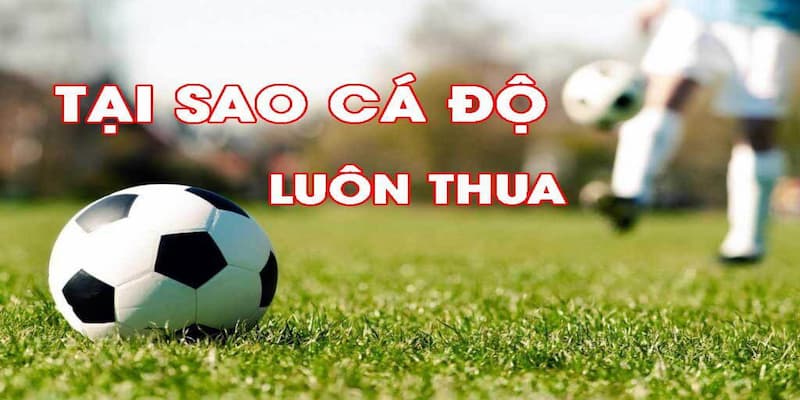 Tìm hiểu 5 lý do tại sao cá độ bóng đá luôn thua