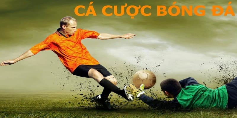 Vai trò của các mẹo cá cược bóng đá luôn thắng Vai trò của các mẹo cá cược bóng đá luôn thắng